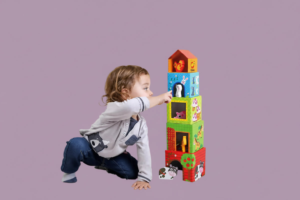 Nesting Box, Farm, 1-2y