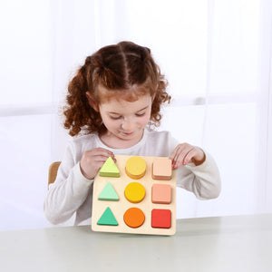 Color and Shape Sorter