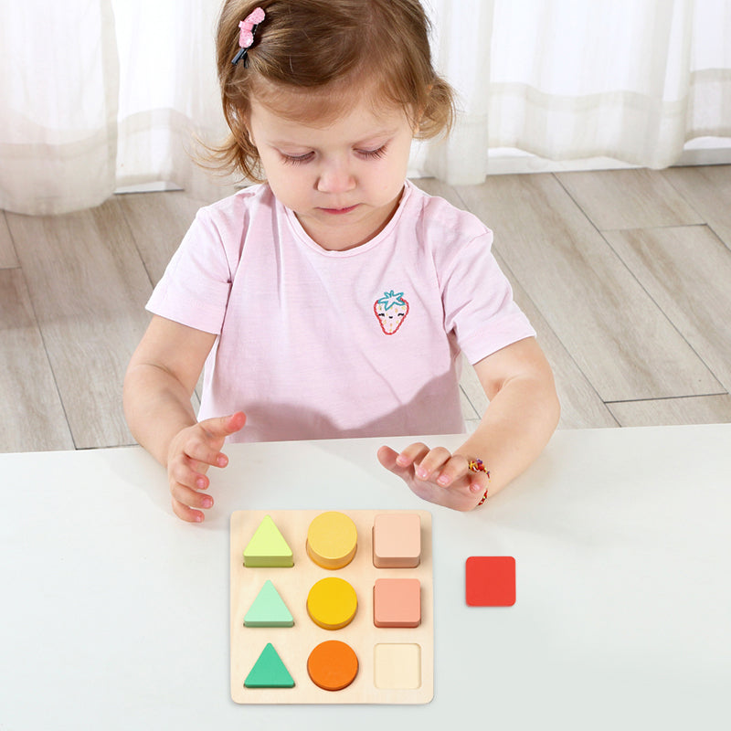 Color and Shape Sorter