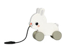 Pull Along Toy
