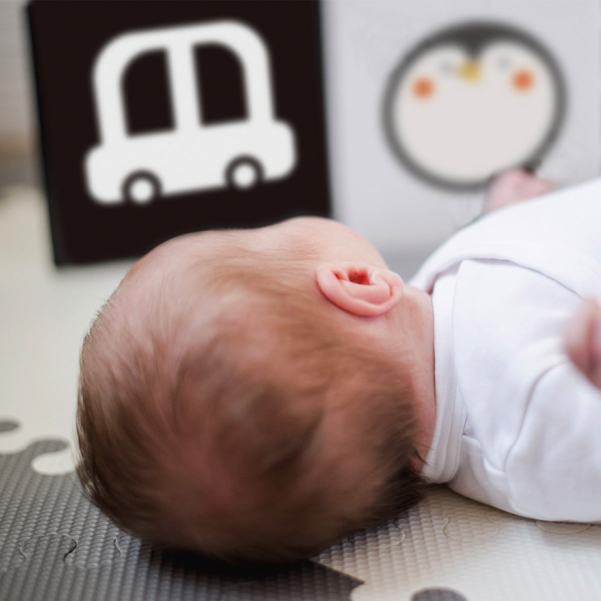 Educational Box, 0 to 6 Months