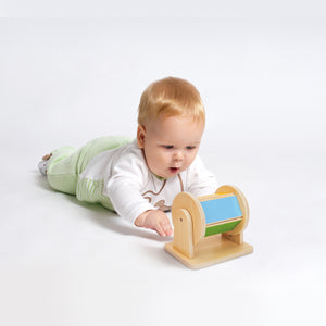 Educational Box, 0 to 6 Months