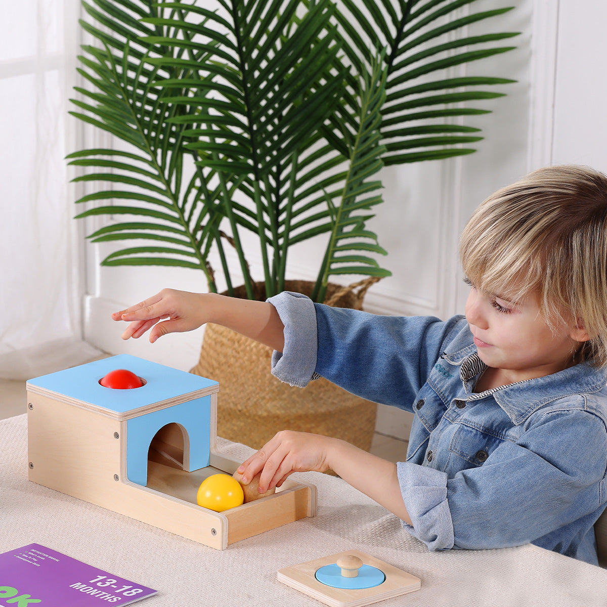 Educational Box, 7 to 12 Months