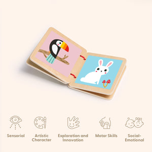 Educational Box, 7 to 12 Months