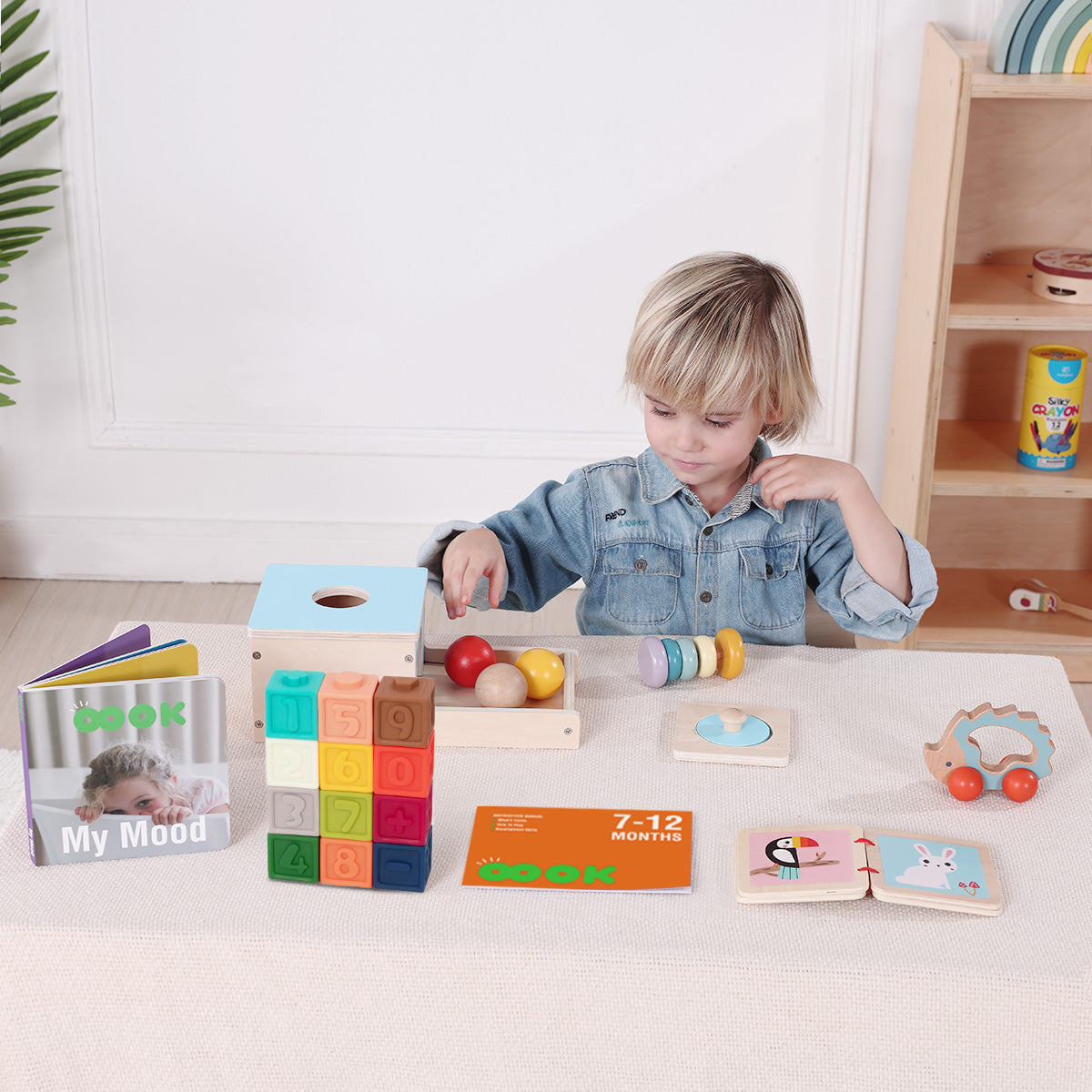 Educational Box, 7 to 12 Months