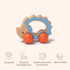 Educational Box, 7 to 12 Months