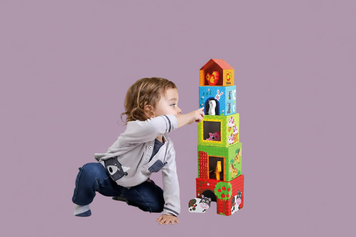 Nesting Box, Farm, 1-2y