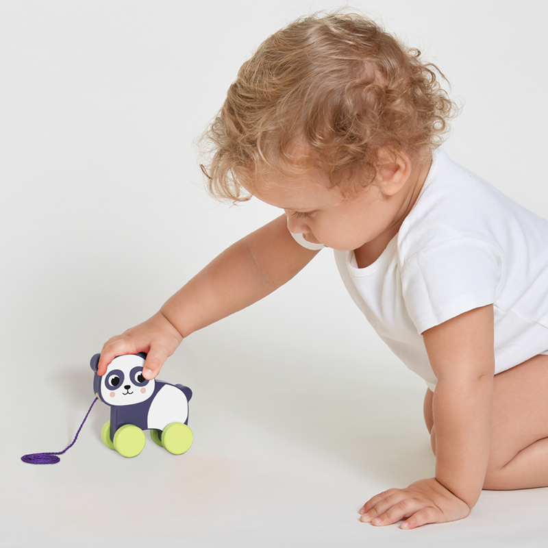 Pull Along Toy