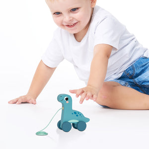 Pull Along Toy