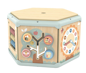 7 in 1 Activity Cube
